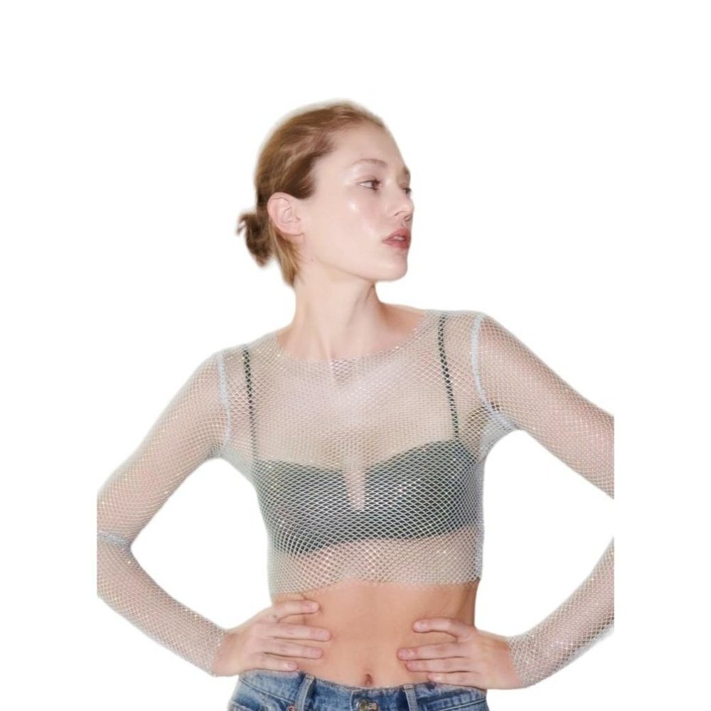 Zara Shimmer Mesh Crop Top Light Gray Size M | 2712/831